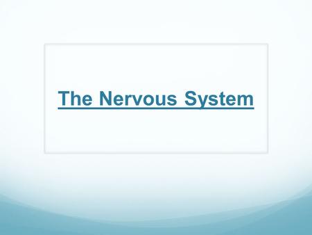 The Nervous System. Nervous System Central Nervous System (CNS) – consists of the brain and spinal cord ONLY Peripheral Nervous System (PNS) – consists.