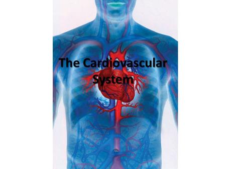 The Cardiovascular System. The Cardiovascular System transports fluid throughout the body.