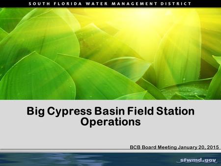 SOUTH FLORIDA WATER MANAGEMENT DISTRICT Big Cypress Basin Field Station Operations BCB Board Meeting January 20, 2015.