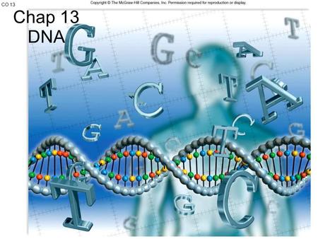 CO 13 Chap 13 DNA.