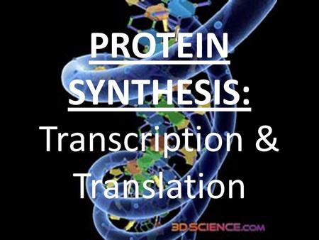 PROTEIN SYNTHESIS: Transcription & Translation. Protein Synthesis Videos  S2ls