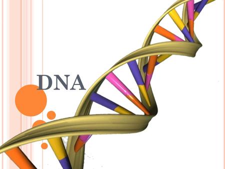 DNA.