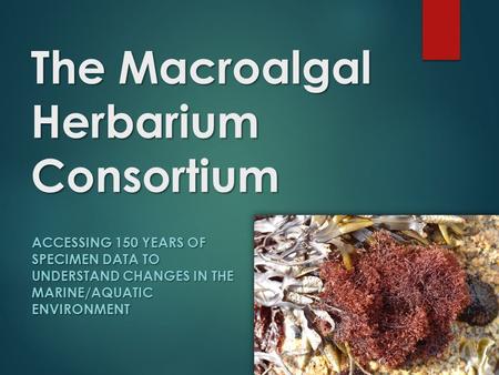 The Macroalgal Herbarium Consortium ACCESSING 150 YEARS OF SPECIMEN DATA TO UNDERSTAND CHANGES IN THE MARINE/AQUATIC ENVIRONMENT.