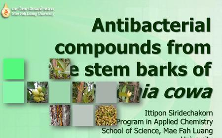 Antibacterial compounds from the stem barks of Garcinia cowa Ittipon Siridechakorn PhD. Program in Applied Chemistry School of Science, Mae Fah Luang University.