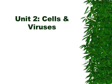 Unit 2: Cells & Viruses.  SB1a. Explain the role of cell organelles for both prokaryotic and eukaryotic cells, including the cell membrane, in maintaining.