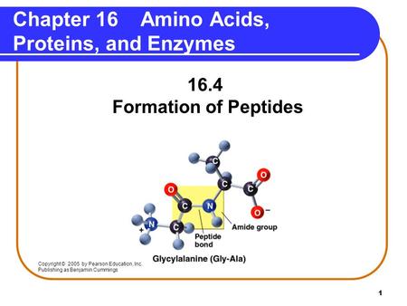 1 16.4 Formation of Peptides Chapter 16 Amino Acids, Proteins, and Enzymes Copyright © 2005 by Pearson Education, Inc. Publishing as Benjamin Cummings.