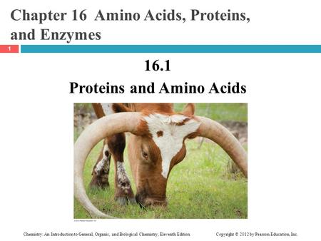 Chemistry: An Introduction to General, Organic, and Biological Chemistry, Eleventh Edition Copyright © 2012 by Pearson Education, Inc. Chapter 16 Amino.