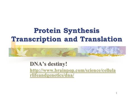 1 Protein Synthesis Transcription and Translation DNA’s destiny!  rlifeandgenetics/dna/