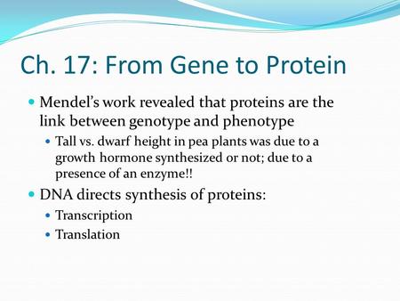 Ch. 17: From Gene to Protein Mendel’s work revealed that proteins are the link between genotype and phenotype Tall vs. dwarf height in pea plants was due.