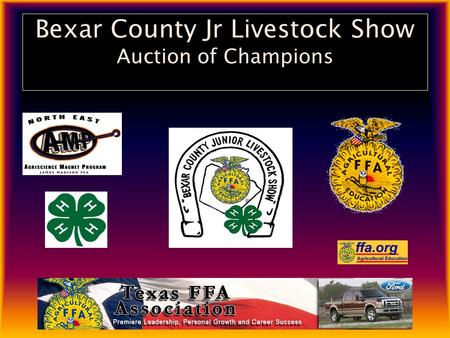 Bexar County Jr Livestock Show Auction of Champions