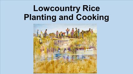 Lowcountry Rice Planting and Cooking. Origins:  Rice planting begins in SC in early 1700’s.  Dr. Henry Woodward attempts to grow Madagascar seeds. 