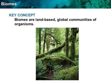 KEY CONCEPT  Biomes are land-based, global communities of organisms.