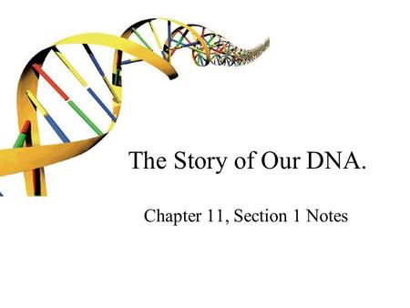 The Story of Our DNA. Chapter 11, Section 1 Notes.