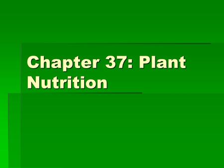 Chapter 37: Plant Nutrition. Where does mass come from?  Mineral nutrients-- essential elements  minimal contribution to mass  Water – 80-85% of herbaceous.