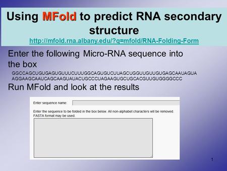 1 Enter the following Micro-RNA sequence into the box Run MFold and look at the results MFold Using MFold to predict RNA secondary structure