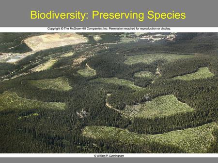 1 Biodiversity: Preserving Species. 2 What is Biodiversity? Species: organisms that breed in nature and produce fertile offspring Species Diversity 