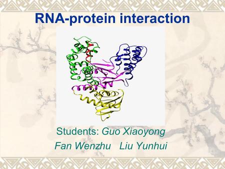 RNA-protein interaction Students: Guo Xiaoyong Fan Wenzhu Liu Yunhui.