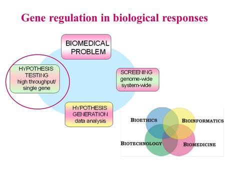 Gene regulation in biological responses Hypothesis testing Differentiation ProliferationApoptosis High throughput 96 well plates array based Single gene.