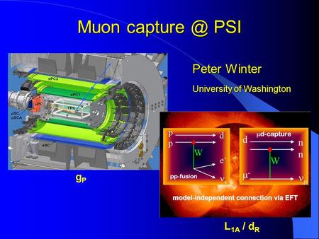 Muon PSI Peter Winter University of Washington gPgP L 1A / d R.