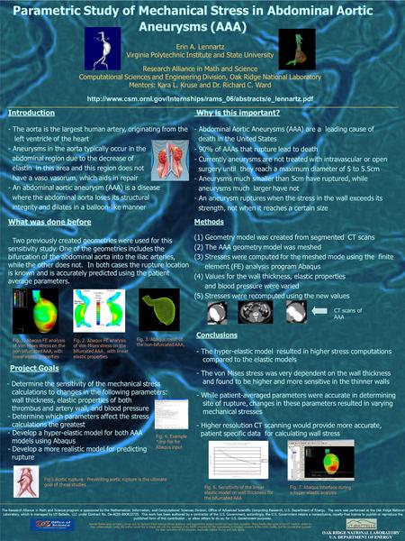 Parametric Study of Mechanical Stress in Abdominal Aortic Aneurysms (AAA) Erin A. Lennartz Virginia Polytechnic Institute and State University Research.