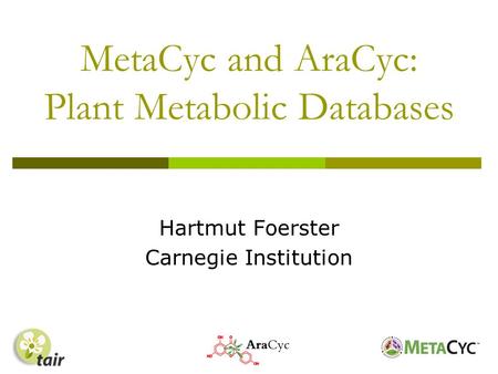 MetaCyc and AraCyc: Plant Metabolic Databases Hartmut Foerster Carnegie Institution.