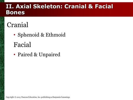 Copyright © 2003 Pearson Education, Inc. publishing as Benjamin Cummings II. Axial Skeleton: Cranial & Facial Bones Cranial Sphenoid & Ethmoid Facial Paired.