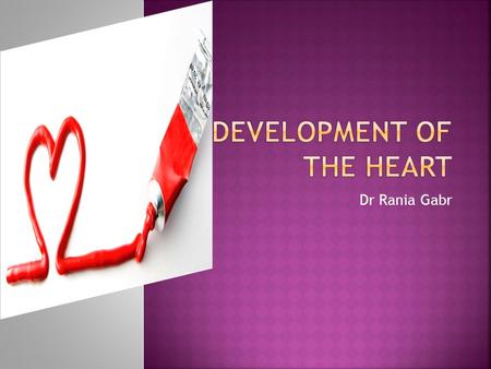 Dr Rania Gabr  Describe the formation and position of the heart tube.  Explain the mechanism of formation of the cardiac loop.  Discuss the development.