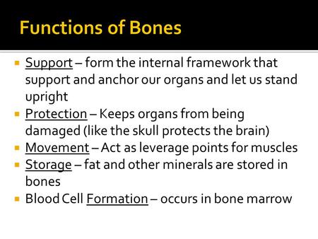  Support – form the internal framework that support and anchor our organs and let us stand upright  Protection – Keeps organs from being damaged (like.