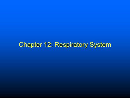 Chapter 12: Respiratory System