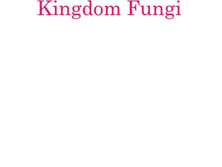 Kingdom Fungi. The Basics Like a plant –STATIONARY Like an animal –HETEROTROPHIC Like plants, animals, and protists – EUKARYOTIC Cell walls made of –CHITIN.