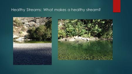 Healthy Streams: What makes a healthy stream?