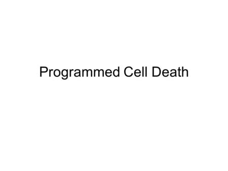 Programmed Cell Death. Why do some cells need to die? To accomplish morphogenetic ends, eg. Separation of fingers during embryogenesis of the hand To.