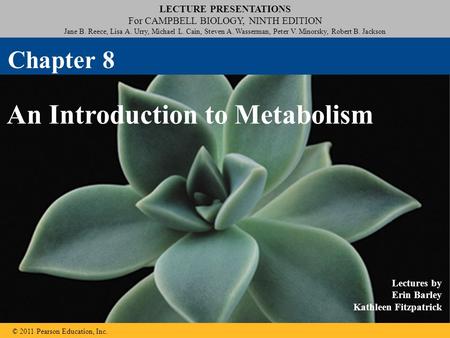 LECTURE PRESENTATIONS For CAMPBELL BIOLOGY, NINTH EDITION Jane B. Reece, Lisa A. Urry, Michael L. Cain, Steven A. Wasserman, Peter V. Minorsky, Robert.