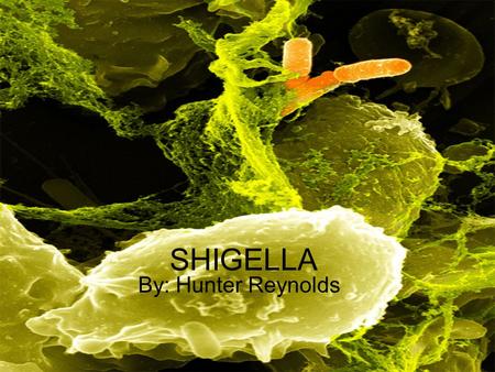 SHIGELLA By: Hunter Reynolds.