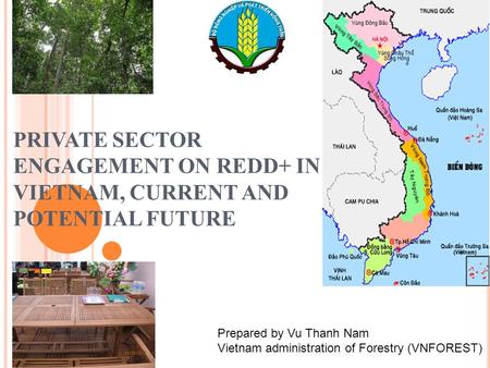 PRIVATE SECTOR ENGAGEMENT ON REDD+ IN VIETNAM, CURRENT AND POTENTIAL FUTURE Prepared by Vu Thanh Nam Vietnam administration of Forestry (VNFOREST)