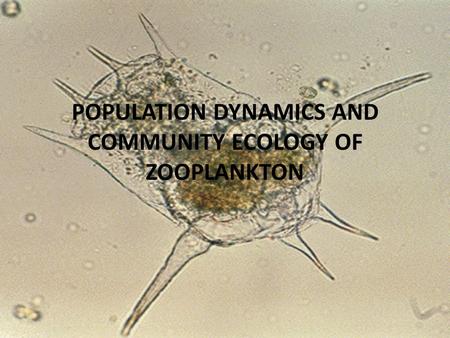 POPULATION DYNAMICS AND COMMUNITY ECOLOGY OF ZOOPLANKTON.