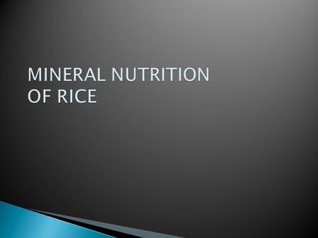  First study about mineral nutrition in 1918  Subsequently by Gericke in 1924 and Ishizuka in 1932  Characteristics of various plant organ greatly.