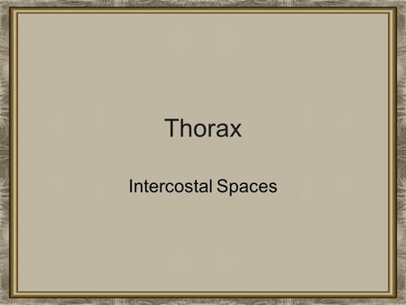 Thorax Intercostal Spaces.