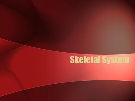 Skeletal System.