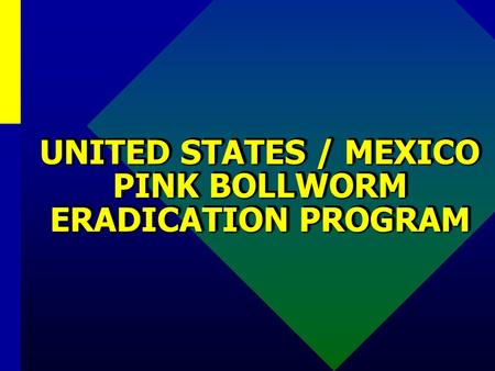 UNITED STATES / MEXICO PINK BOLLWORM ERADICATION PROGRAM.