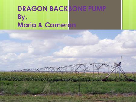 DRAGON BACKBONE PUMP By, Maria & Cameron