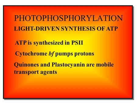 PHOTOPHOSPHORYLATION LIGHT-DRIVEN SYNTHESIS OF ATP ATP is synthesized in PSII Cytochrome bf pumps protons Quinones and Plastocyanin are mobile transport.