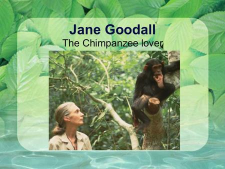 Jane Goodall The Chimpanzee lover. About Jane Jane was born on April 3,1934 in London, England. When Jane was a little girl her dad gave her a toy chimp.Ever.