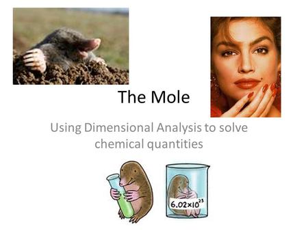 Using Dimensional Analysis to solve chemical quantities