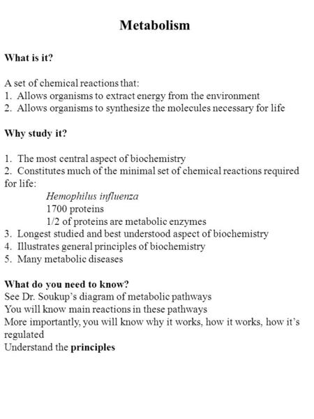 Metabolism What is it? A set of chemical reactions that: 1. Allows organisms to extract energy from the environment 2. Allows organisms to synthesize the.