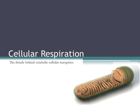 The details behind catabolic cellular energetics