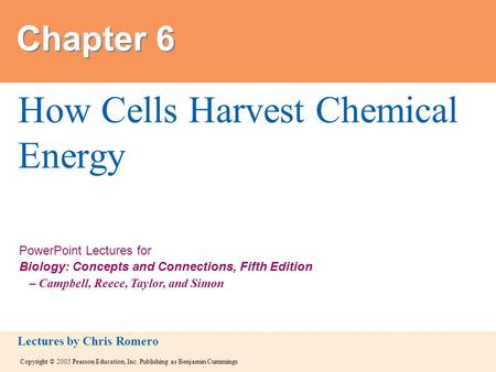 Copyright © 2005 Pearson Education, Inc. Publishing as Benjamin Cummings PowerPoint Lectures for Biology: Concepts and Connections, Fifth Edition – Campbell,