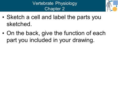 Vertebrate Physiology Chapter 2 Sketch a cell and label the parts you sketched. On the back, give the function of each part you included in your drawing.