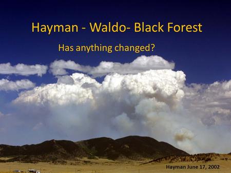 Hayman - Waldo- Black Forest Has anything changed? Hayman June 17, 2002.