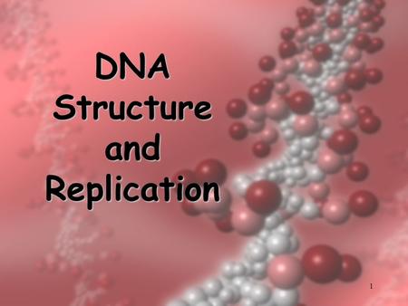 1 DNA Structure and Replication. 2 DNA Two strands coiled called a double helix Sides made of a pentose sugar Deoxyribose bonded to phosphate (PO 4 )